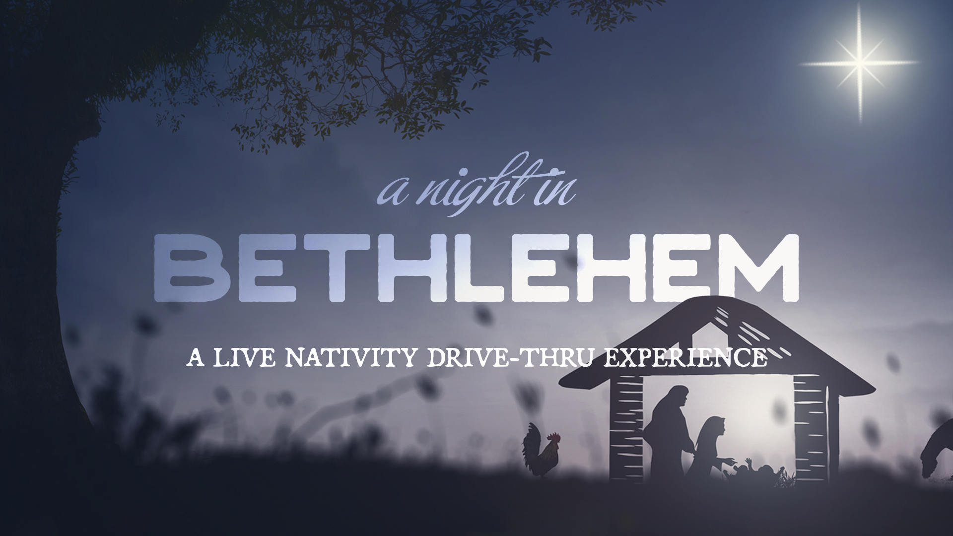 A Night in Bethlehem Casting Call