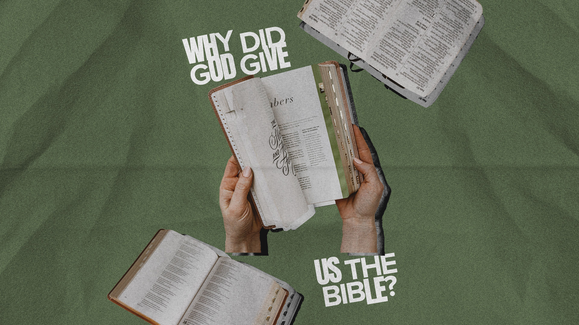 Why Did God Give Us the Bible?